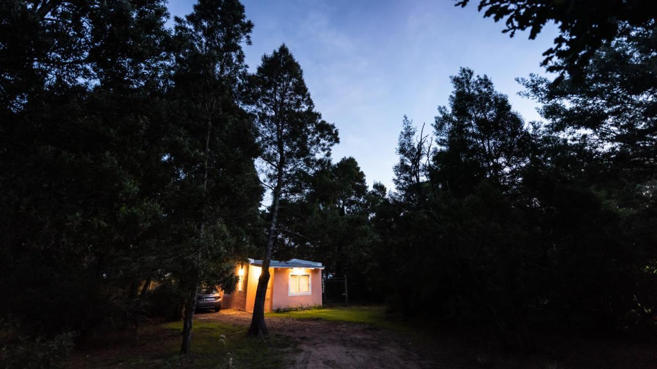 Nomeolvidesmas Daire Tandil Dış mekan fotoğraf